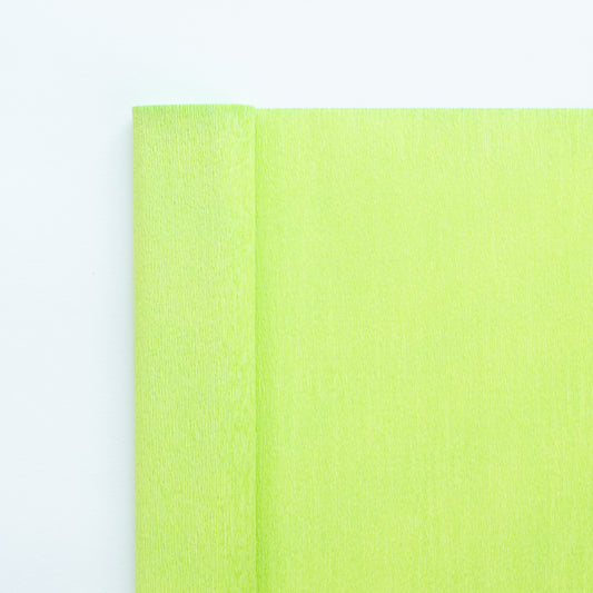 Florist crêpepapier 90gr 353 'Parakeet Green' by Kate Alarcón