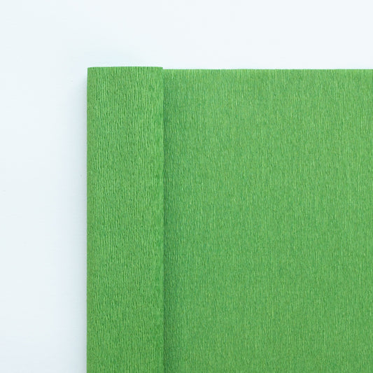 Florist crêpepapier 90gr 367 'Crocodile Green' by Kate Alarcón