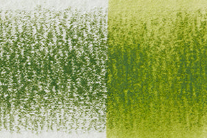 Derwent Inktense 1560 Fern