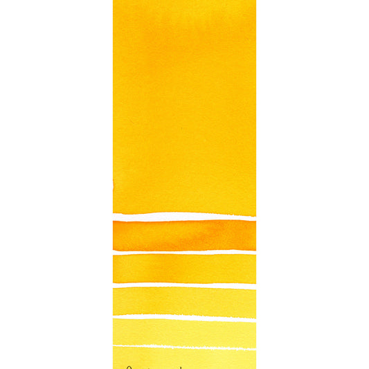 Daniel Smith Extra Fine Watercolours 5 ml New Gamboge 1