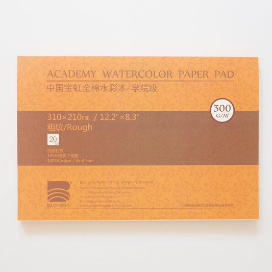 Baohong Academy 300g 31x21cm Rough 20 sheets