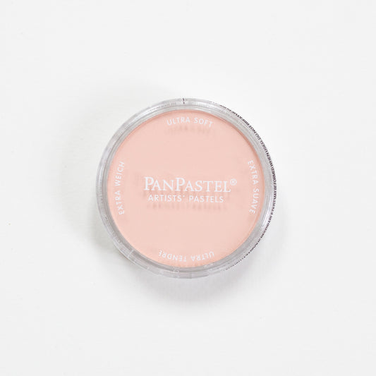 PanPastel Red Iron Oxide Tint
