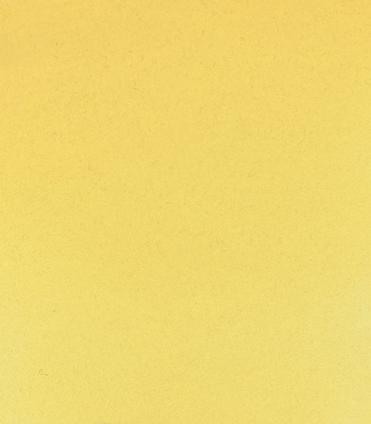 Schmincke Horadam Aquarelverf 205 Rutile Yellow 15ml 3