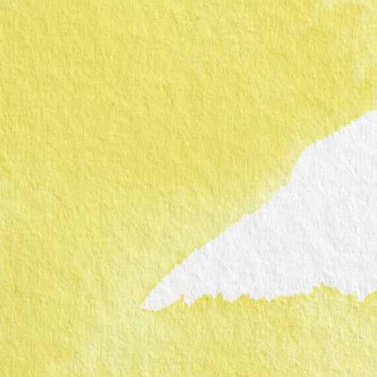 Winsor & Newton Professional Water Colour half pan Bismuth Yellow 3