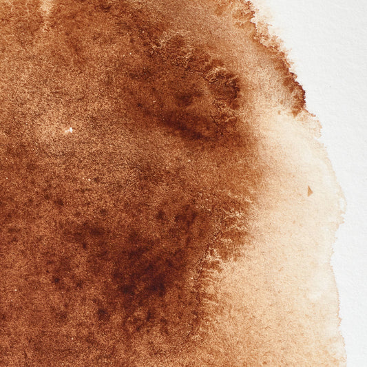 Winsor & Newton Professional Water Color Halbpfanne Burnt Umber 1