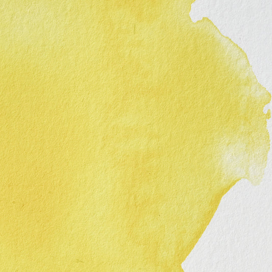 Winsor & Newton Professional Water Colour half pan Cadmium Lemon 4