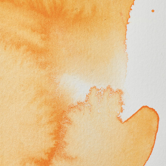Winsor & Newton Professionelle Wasserfarbe, halbe Näpfchen, Cadmiumorange 4