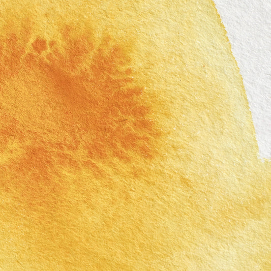 Winsor & Newton Professional Water Color half pan Cadmium Yellow Deep 4