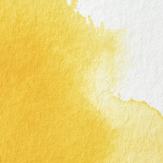 Winsor & Newton Professional Water Color half pan Cadmium Yellow Pale 4