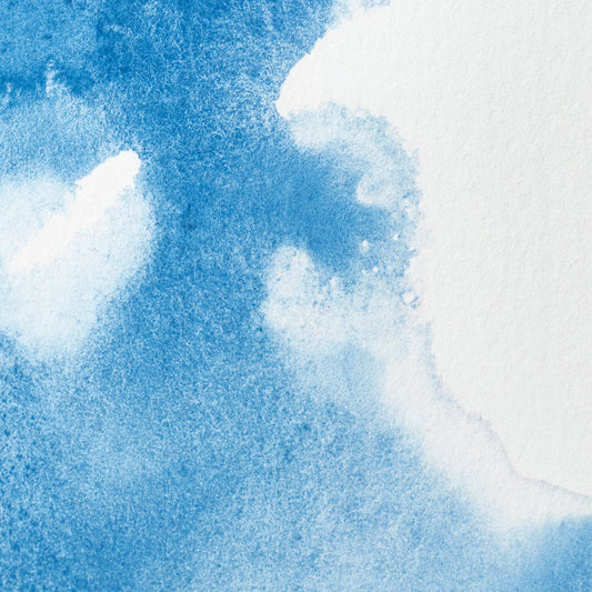 Winsor & Newton Professional Water Color half pan Cerulean Blue 3