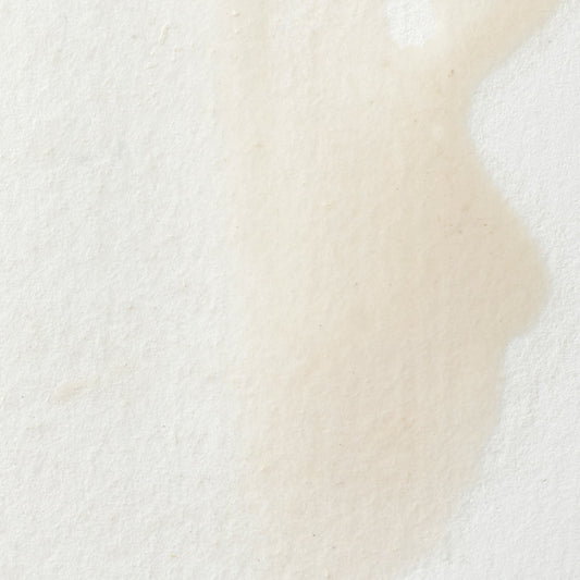 Winsor & Newton Professional Water Color halbe Näpfchen Chinesisch Weiß 1