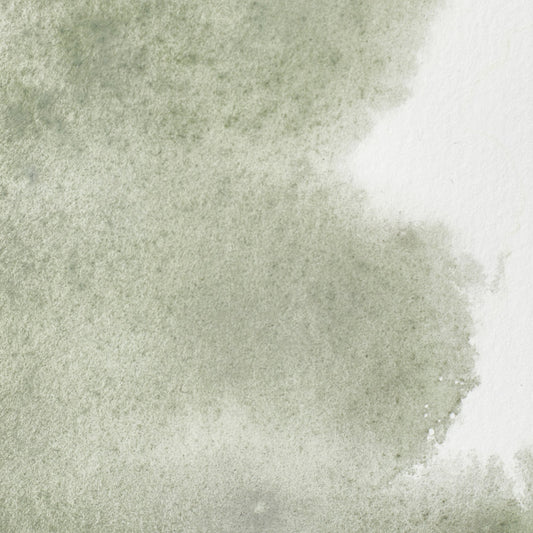 Winsor & Newton Professional Water Color half pan Davys Gray 1
