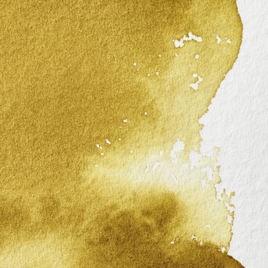 Winsor & Newton Professional Water Color half pan Green Gold 2