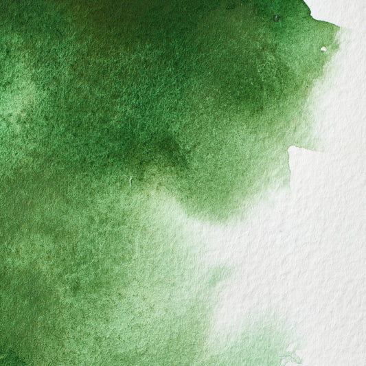 Winsor & Newton Professional Water Color half pan Hookers Green 1