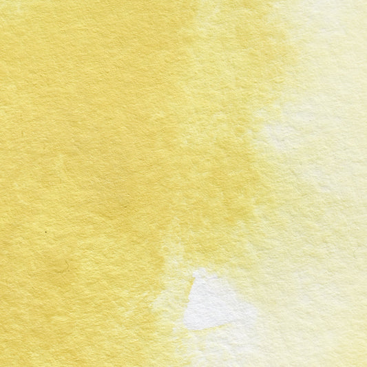 Winsor & Newton Professional Water Colour half pan Lemon Yellow 4