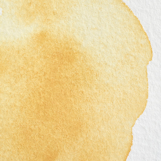 Winsor & Newton Professional Water Color half pan Naples Yellow 1