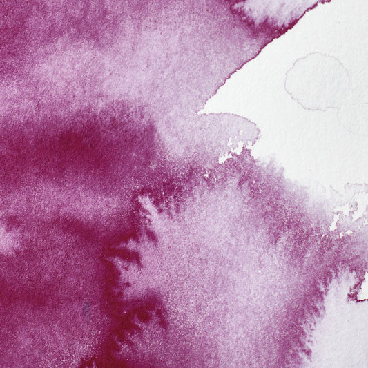 Winsor & Newton Professional Water Color half pan Permanent Magenta 3