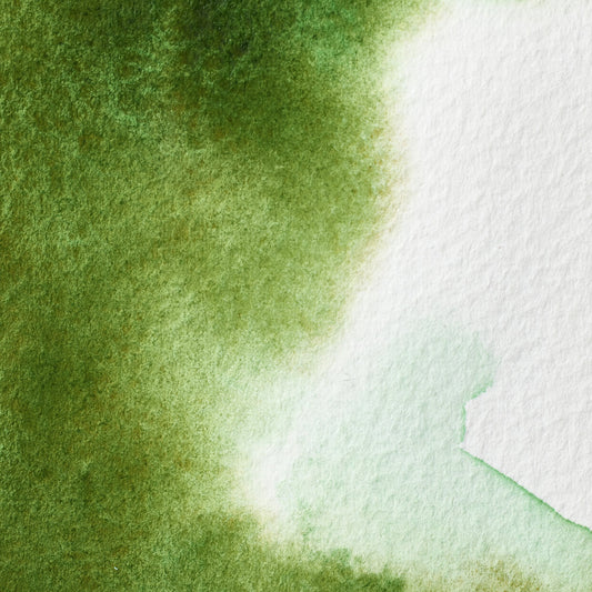 Winsor & Newton Professional Water Color half pan Permanent Sap Green 3