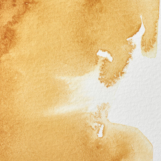 Winsor & Newton Professional Water Color half pan Raw Sienna 1