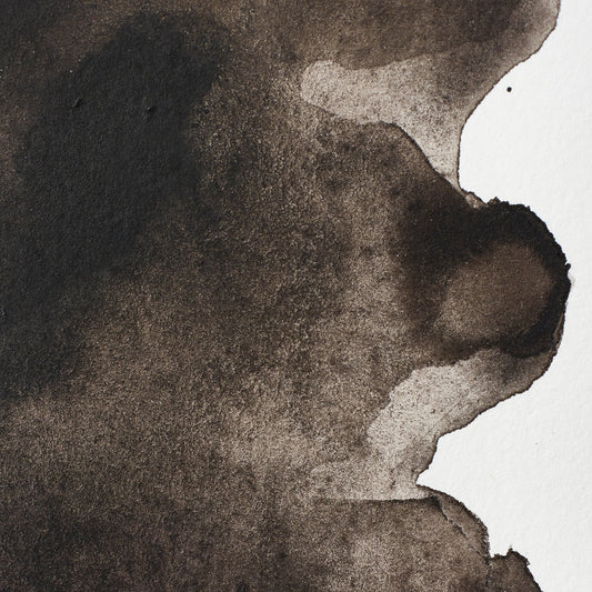 Winsor & Newton Professional Water Color half pan Sepia 1