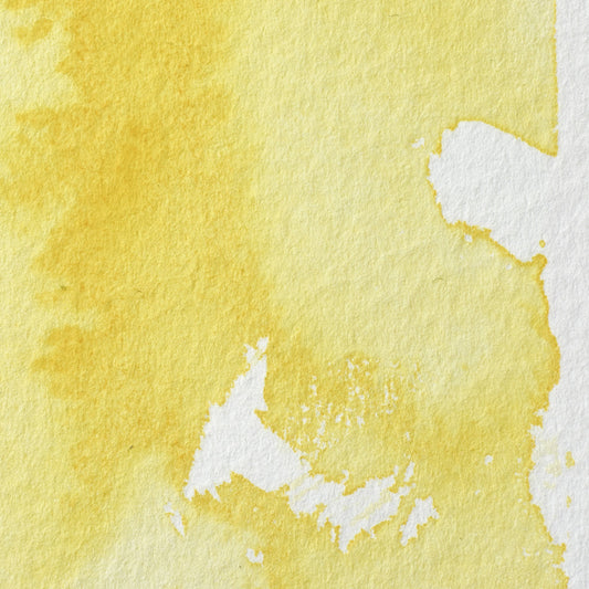Winsor & Newton Professional Water Color half pan Transparent Yellow 1