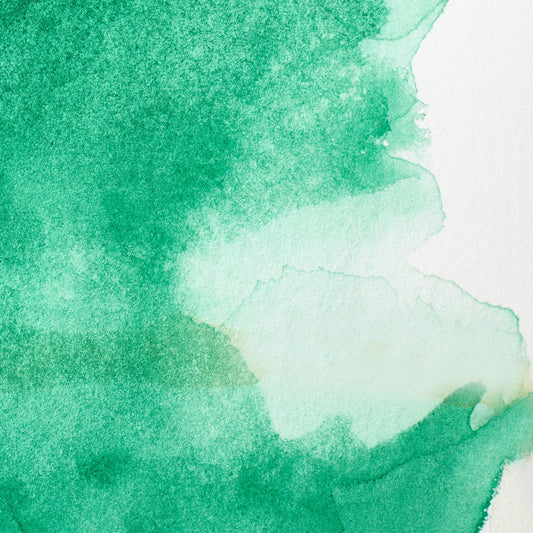 Winsor & Newton Professional Water Color half pan Winsor Green (Yellow shade) 1