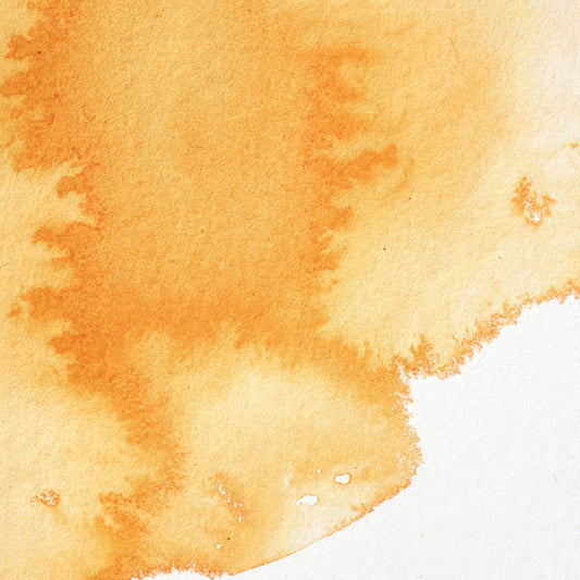 Winsor & Newton Professionelle Wasserfarbe, halbe Näpfchen Winsor Orange 1