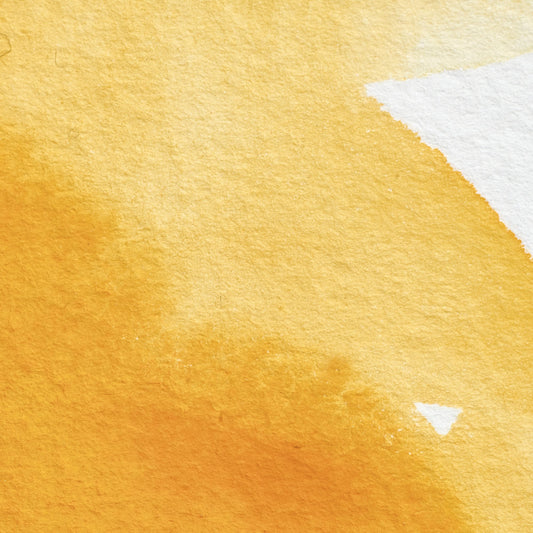 Winsor & Newton Professional Water Color halbe Näpfchen Winsor Yellow Deep 1
