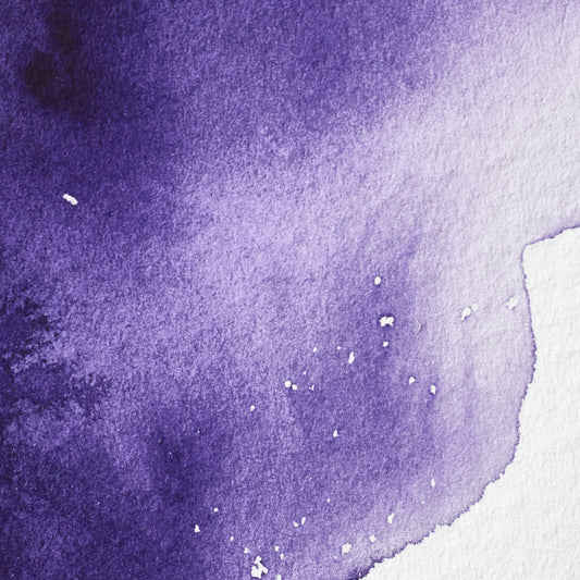 Winsor & Newton Professional Water Color half pan Winsor Violet (Dioxazine) 1