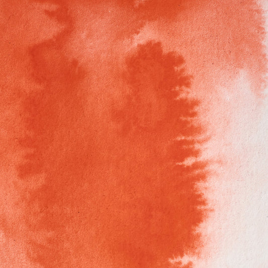 Winsor & Newton Professional Water Color halbe Näpfchen Winsor Orange (Rotton) 1
