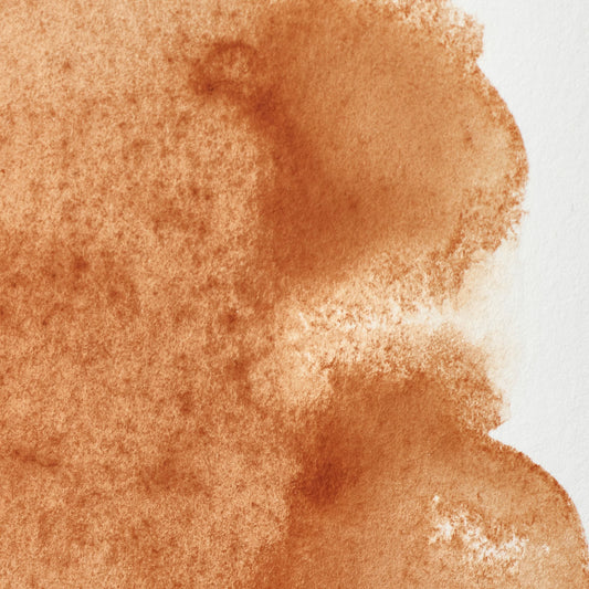 Winsor & Newton Professional Water Color half pan Brown Ocher 1