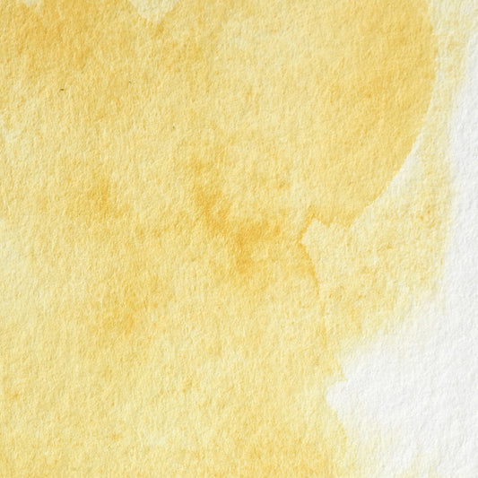 Winsor & Newton Professional Water Color half pan Turner Yellow 3