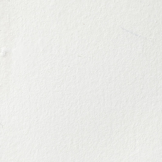 Winsor & Newton Professional Water Color half pan Titanium White 1