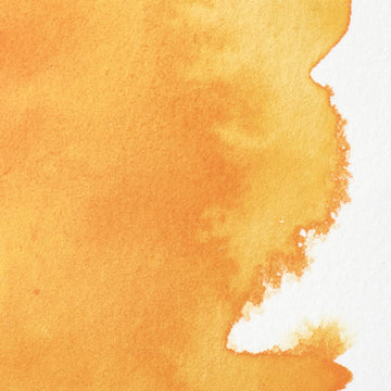 Winsor & Newton Professional Water Color Cadmium free half pan Cadmium-Free Yellow Deep 4
