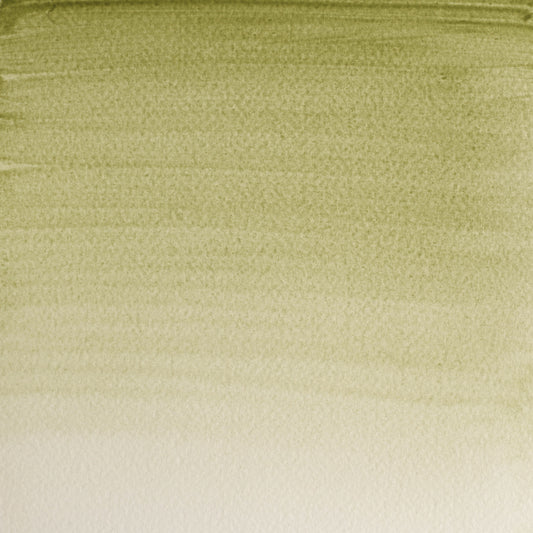 Winsor & Newton Professionelle Wasserfarben 5 ml Terre Verte (gelber Farbton) 1