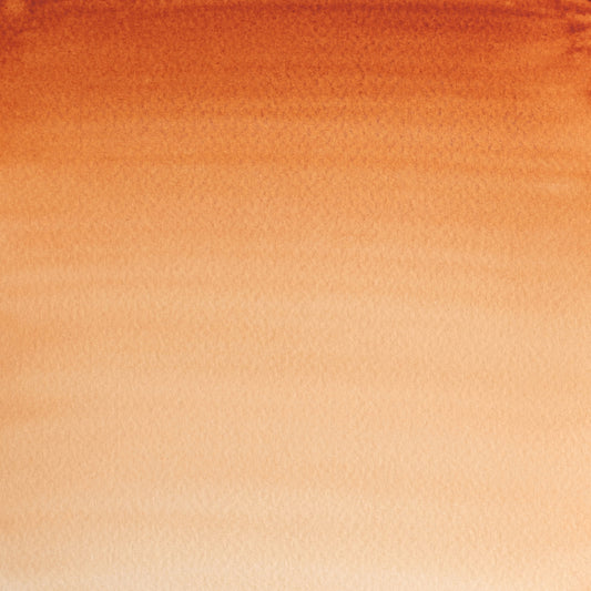 Winsor & Newton Professional Water Colours 5ml Burnt Sienna 1