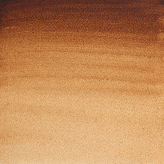 Winsor & Newton Professional Water Colours 5ml Burnt Umber 1
