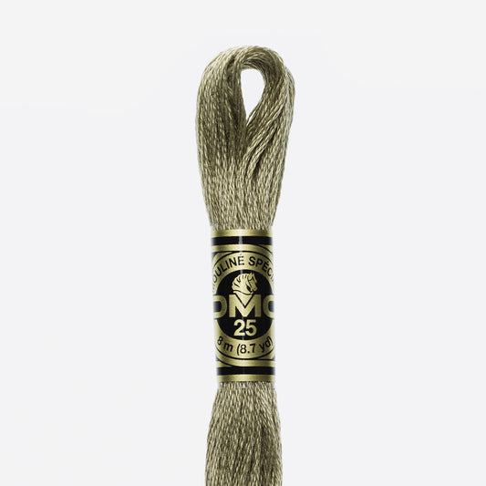 DMC Mouliné Spécial 3032