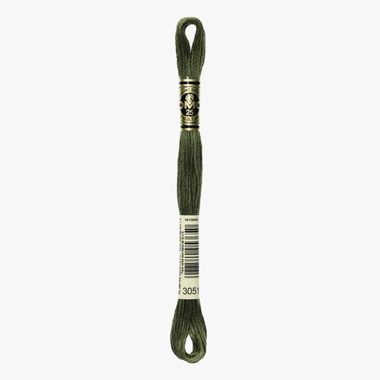 DMC Mouliné Spécial 3051
