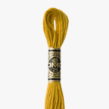 DMC Mouliné Spécial 3852
