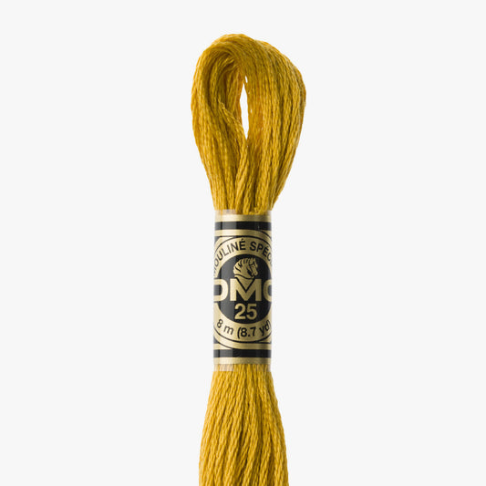DMC Mouline Spezial 3852