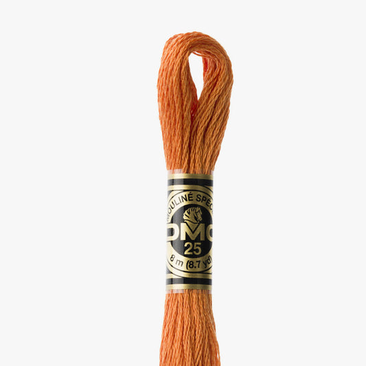 DMC Mouliné Spécial 3853