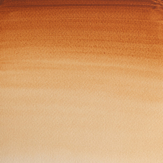 Winsor & Newton Professional Water Colours 5ml Brown Ochre 1
