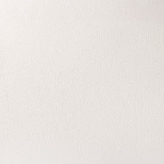 Winsor & Newton Professional Water Colours 5ml Titanium White (opaque white) 1