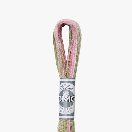 DMC Mouline Coloris 4500