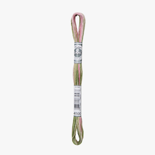 DMC Mouline Coloris 4500