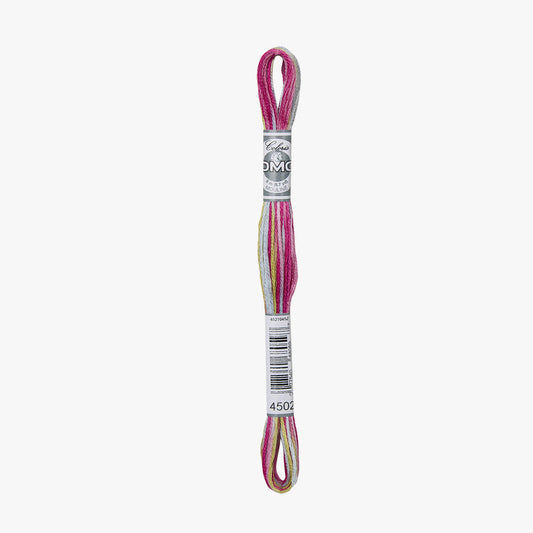 DMC Mouline Coloris 4502