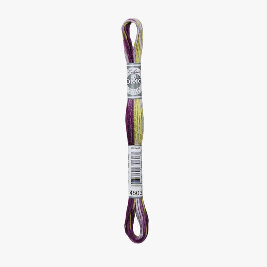 DMC Mouline Coloris 4503