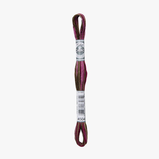 DMC Mouline Coloris 4504