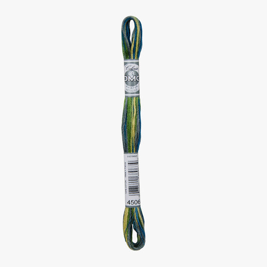 DMC Mouline Coloris 4506